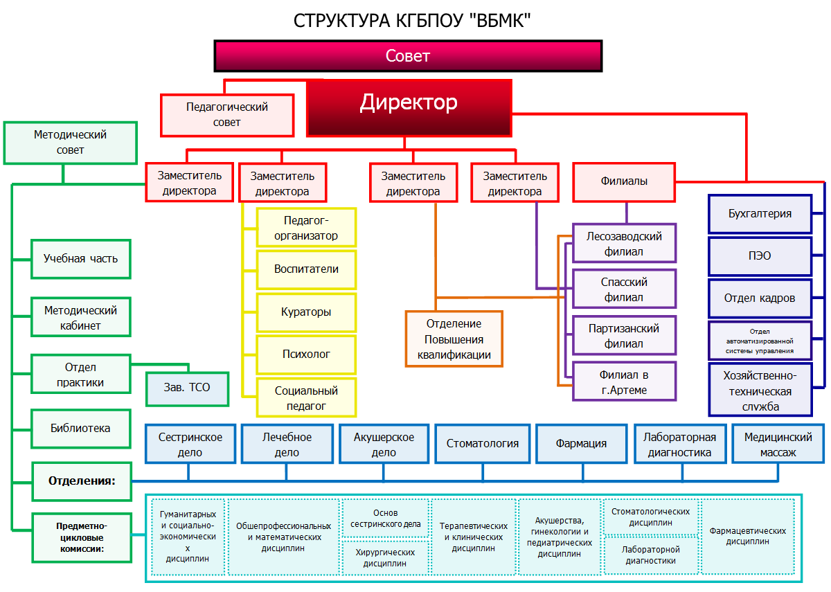 Структура управления в колледже схема